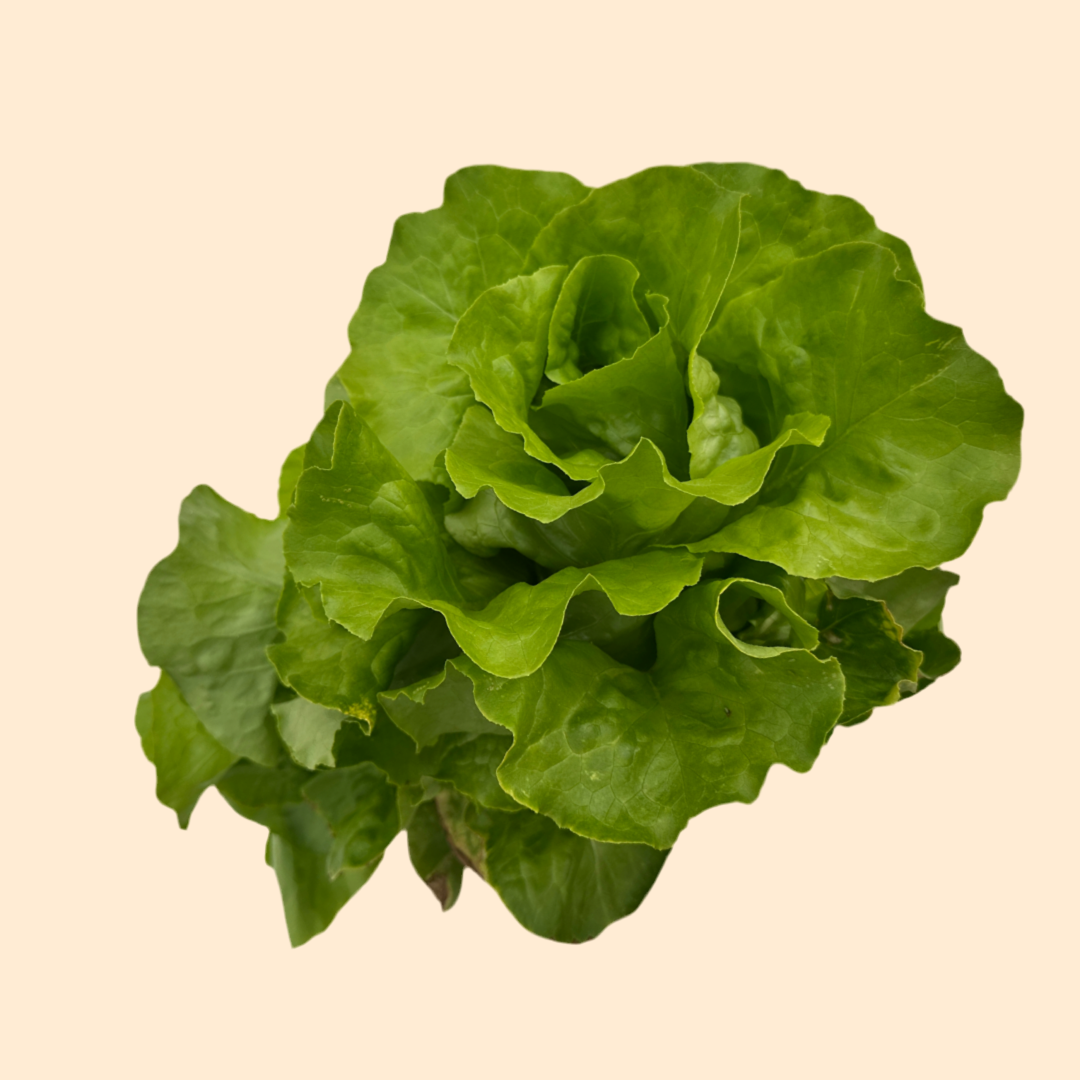Cabàs